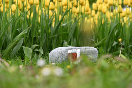 A meditation pillow in grass with yellow tuliups in the backgroundの写真素材