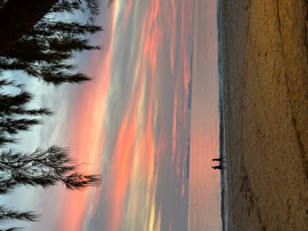 Witness a beautiful sunset over a tranquil body of water framed by treesの写真素材