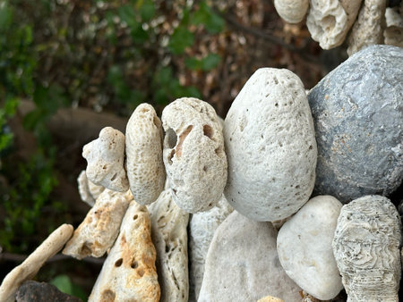 A pile of rocks and colorful corals is sitting on top of each otherの写真素材