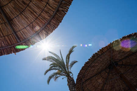 Deep blue sky and bright sunの写真素材