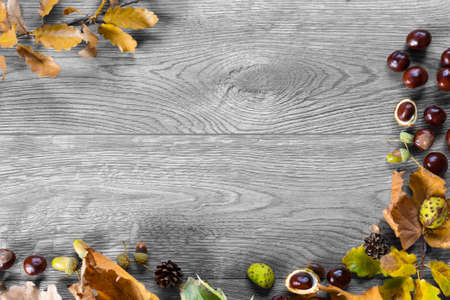 Autumn colorful leaves, chestnuts and acorns on a wooden tableの写真素材