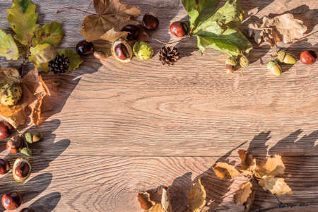 Autumn colorful leaves, chestnuts and acorns on a wooden tableの写真素材