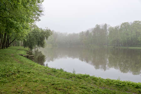 Wooden pier at the small lake in a park in misty morningの写真素材