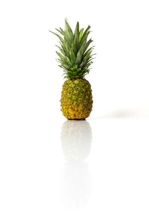 An isolated in pineapple on a white reflective surfaceの写真素材