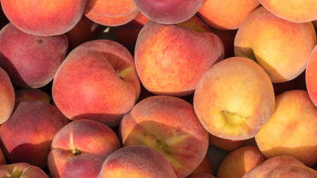 Freshly collected peaches