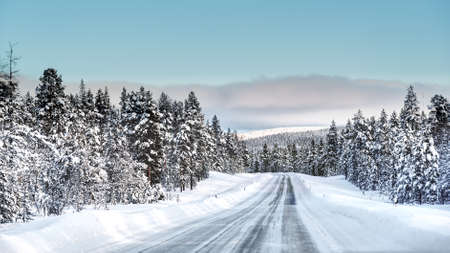 A road cutting through a forest covered with snow in a cold winter day with a layer of clouds over a horizonの写真素材