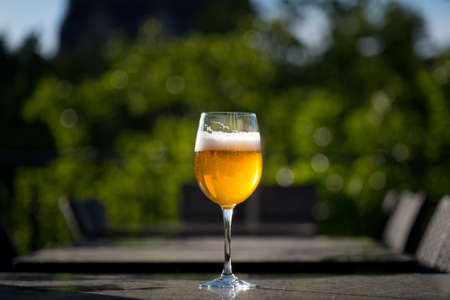 A glass of golden beer standing  on a garden table. The drink illuminated from back by sun light.の写真素材