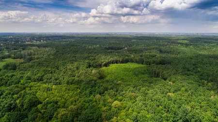 Clouds casting shadows on forestの写真素材