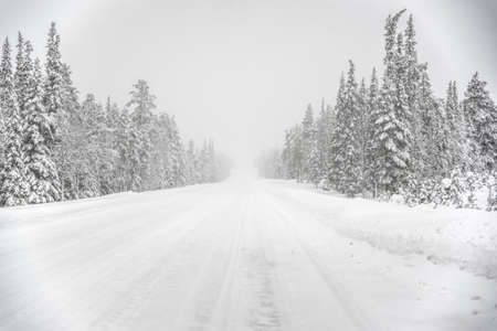 Road through snowの写真素材