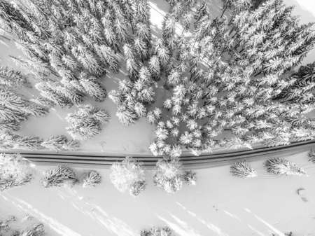 A road between trees covered with snow.の写真素材