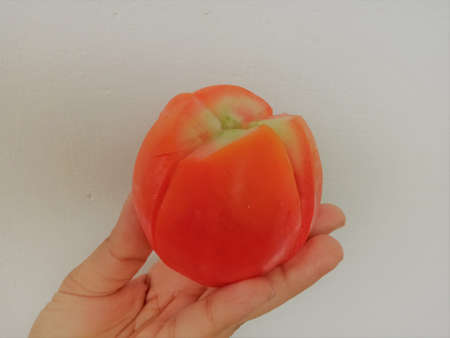 A Tomato in hand in red color.Tomato had divided into four sections .の写真素材