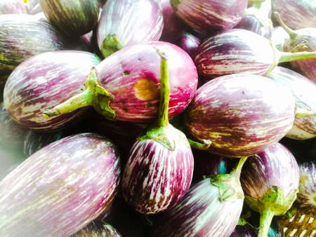 A closeup shot of a group of brinjal in a basket with violet color and white lines on it.The brinjal has a green stalk on it.の写真素材