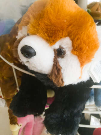 A Bear doll placed on a shop by holding it using threads in a bar.The bear has a black nose and have a brown head with white combination.の写真素材