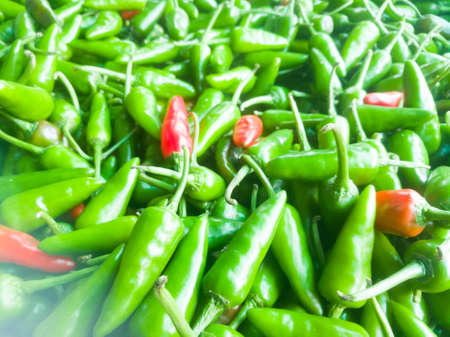 Green chillies have absolutely zero calories and making them perfect ingredient for spicy healthy diet.The green chillies have red chillies at its center.の写真素材