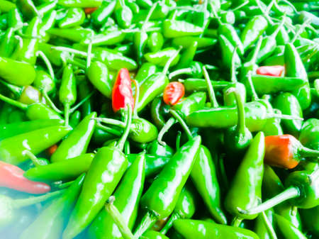 Green chillies have absolute zero calories and making them a perfect ingredient for spicy healthy diet.The green chillies have red chillies at its center.の写真素材