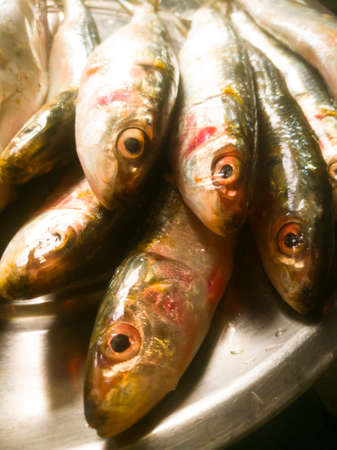 A Closeup shot of raw sardines in a plate.The plate has sardines with opened eyes.They have glittering skins and fins.They are arranged one above the other.の写真素材