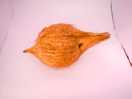 Onam special kerala coconut placed isolated in a white background without husk.The outer covering husk has removed and the end still has a part of it.The fibers are projecting out on its shell.の写真素材
