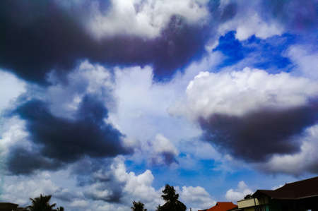 Rainy clouds from a far away distance on the top of trees.The clouds are dark and with dark blue color.The clouds are large enough and have different shapes.の写真素材