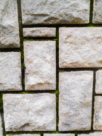 Huge rock texture work or cladding work as background on a wall.The rock pieces are real and they are flattened.The cuts have small amount of algae growth in it and makes attractive.の写真素材