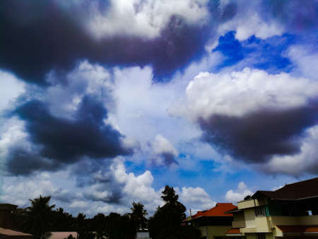 Rainy clouds from a far away distance on the top of trees.The clouds are dark and with dark blue color.The clouds are large enough and have different shapes.の写真素材