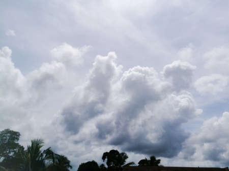 Rainy clouds from a far away distance on the top of trees.The clouds are dark and with dark blue color.The clouds are large enough and have different shapes.の写真素材