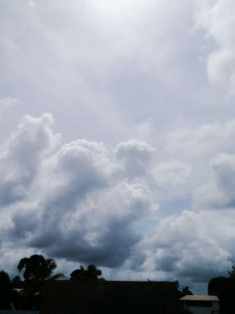 Rainy clouds from a far away distance on the top of trees.The clouds are dark and with dark blue color.The clouds are large enough and have different shapes.の写真素材