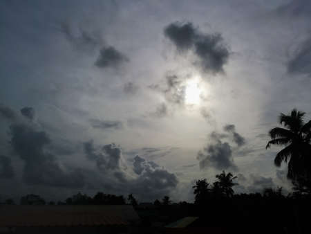 Evening sunset while rain clouds are moving around it.The clouds are dark colored and the coconut trees are making its shadow in the sky.The clouds are long enough.の写真素材