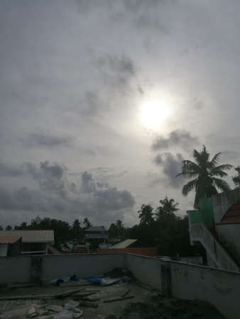 Evening sunset while rain clouds are moving around it.The clouds are dark colored and the coconut trees are making its shadow in the sky.The clouds are long enough.の写真素材