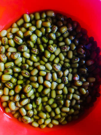 Green gram placed in soaked condition for sprouting in an orange bowl.The gram has specific point on it for the tender to come out.After soaking they gets swelled and become large also.の写真素材