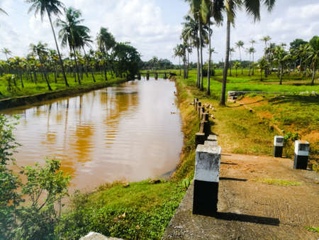 Leading lines of medians on both side of a way from a bridge to the bank of a lake.The medians are half white and black colored.There are medians on both sides of the way to the field.の写真素材