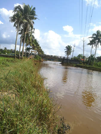 Nature long lakes with coconut trees at bank and floating ducks in it.The coconut trees are standing in a line on both sides of the lake.The sky has clear white clouds and the banks are well build.の写真素材