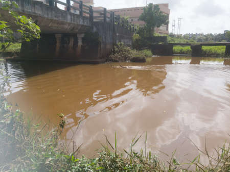 A flowing lake with a bridge across it and ducks moving around the lake.Can also see the green fields on the other side of the lake with muddy water.The ducks are going and making waves in the water.の写真素材