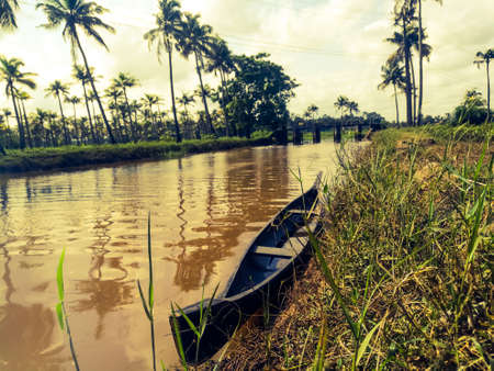 Nature long lakes with coconut trees at bank and floating ducks in it.The coconut trees are standing in a line on both sides of the lake.The sky has clear white clouds and the banks are well build.の写真素材