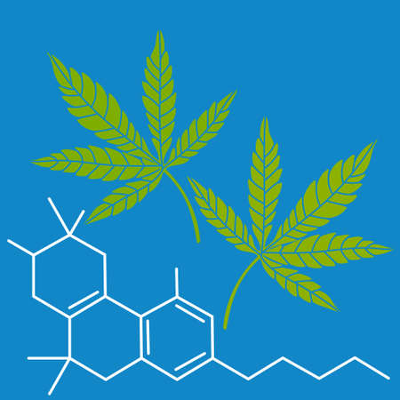 Green leaves of hemp formula CBD. drug marijuana. vectorのイラスト素材