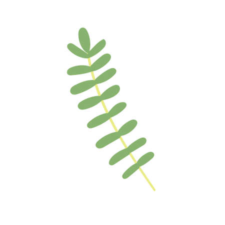 Child's drawing green tropical leaf hand-drawn. vector illustrationのイラスト素材