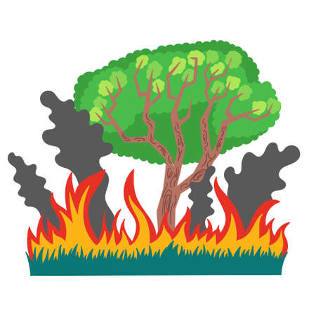 Forest and grass in fire and smoke. An ecological disaster in Australia forest fires. Vector isolated illustration on white backgroundのイラスト素材