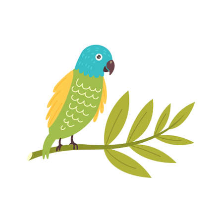 Vector colorful parrot sitting on a branch