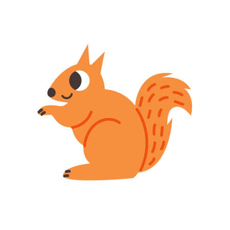 orange squirrelのイラスト素材