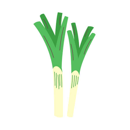 vector green leeksのイラスト素材