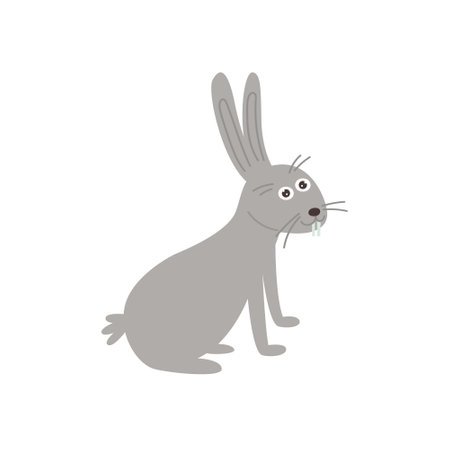 cute gray hareのイラスト素材
