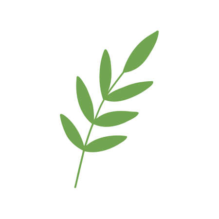 green leaf handdrawnのイラスト素材