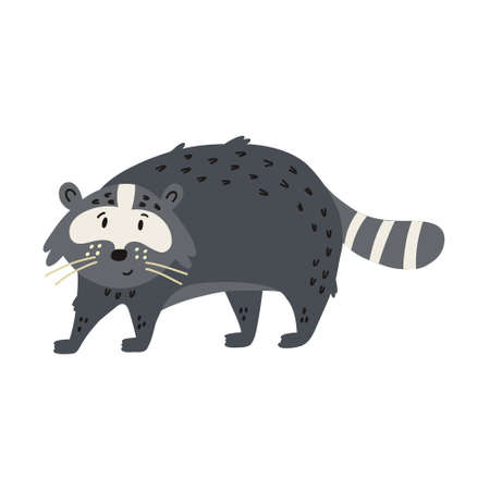 Cute Raccoonのイラスト素材