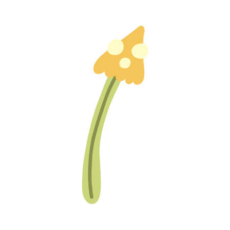greengrocerのイラスト素材