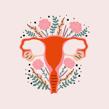 Female reproductive system is stylized flowers, plants. Women menstrual period organ vagina, uterus, womb. Intimate hygiene health. hand drawn vector illustrationのイラスト素材