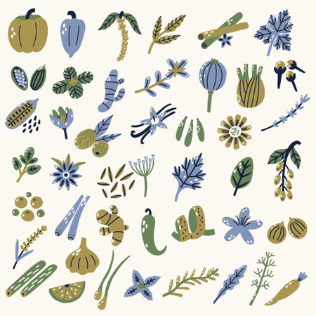 Collection hand drawn illustrated spices herbs. Flat vector nature botanical set elementsのイラスト素材