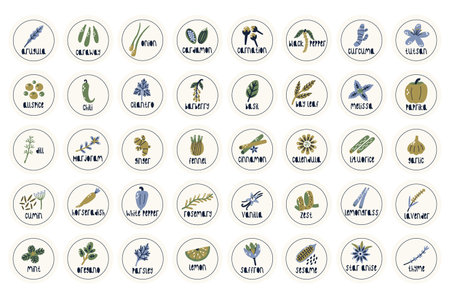 Circle Label Spice and Herb Collection. Flat vector nature botanical set elementsのイラスト素材