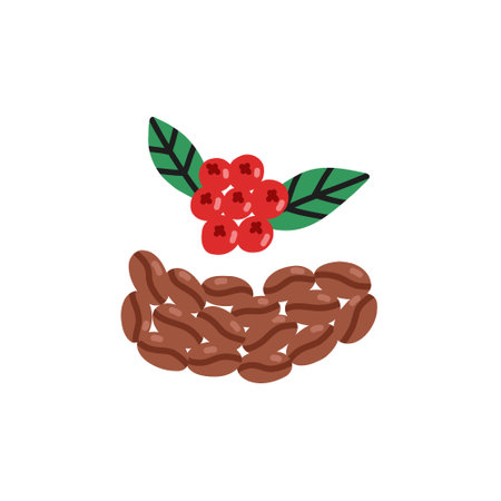Feces Kopi Luwak civet coffee beans with berry. Hand drawn kids vector illustration in doodle styleのイラスト素材