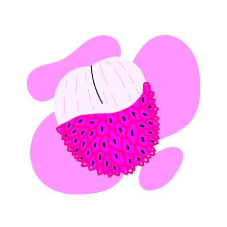 Tropical juicy lychee fruit in acid colors. hand drawn vectorのイラスト素材