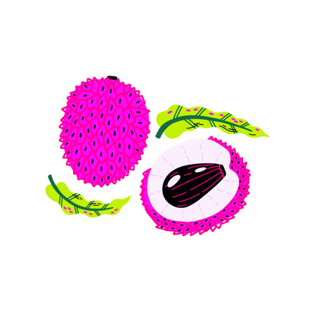Tropical litchi fruit with peel and pit in acid colors. hand drawn vectorのイラスト素材