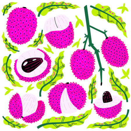 Collection Tropical Fruit Lychee in acid colors with leaf. Exotic fresh food set. hand drawn vectorのイラスト素材
